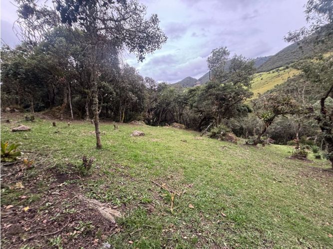 Lote en venta en Agrupación Macadamia, La Calera, 2100 m² · foto 8 de 9