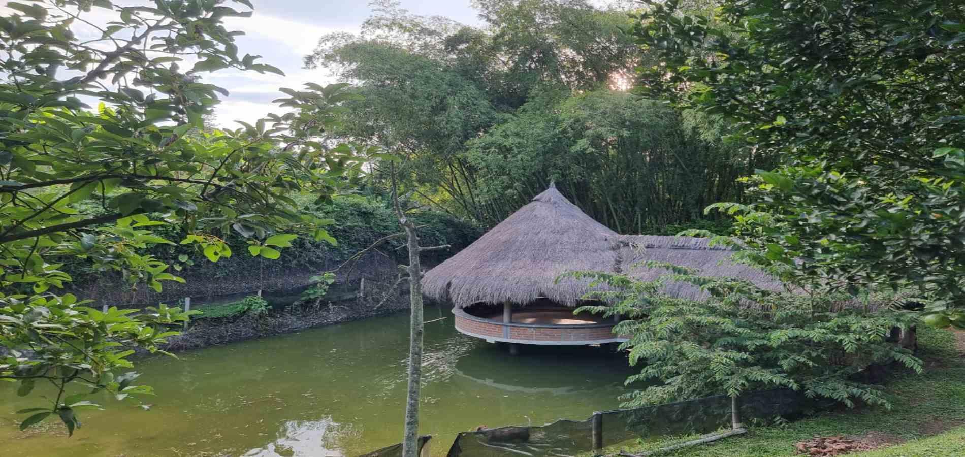 Casa en venta en Combia, Pereira · foto 16 de 24
