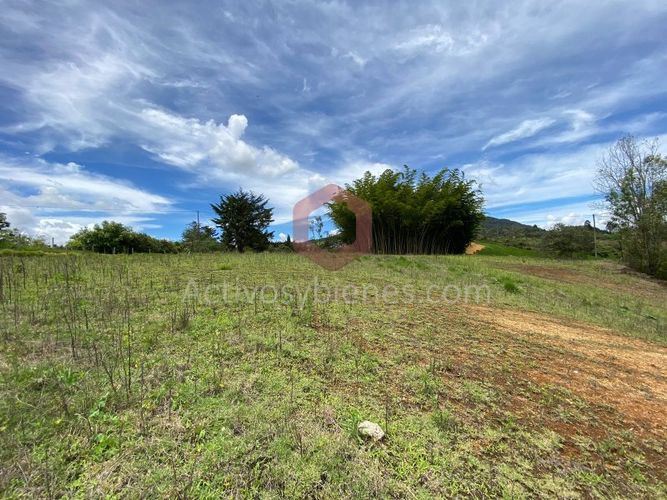 Lote en venta en La Industrial, Marinilla, 6000 m² · foto 2 de 22