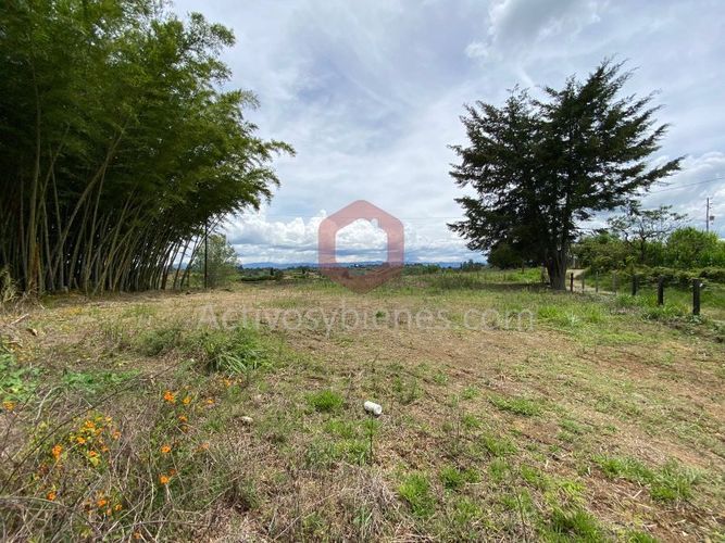 Lote en venta en La Industrial, Marinilla, 6000 m² · foto 4 de 22