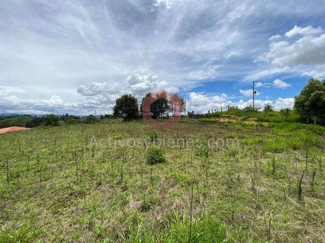 Lote en venta en La Industrial, Marinilla, 6000 m² · foto 7 de 22