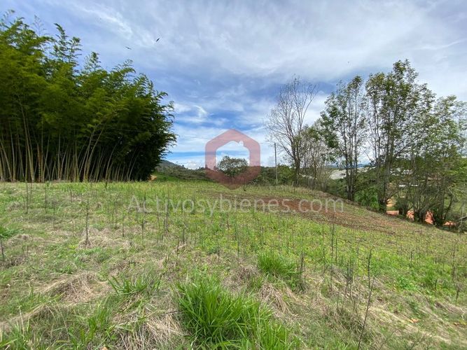 Lote en venta en La Industrial, Marinilla, 6000 m² · foto 9 de 22