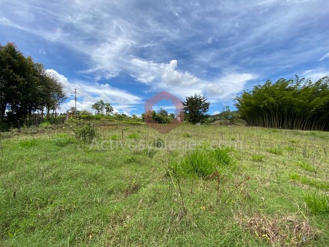 Lote en venta en La Industrial, Marinilla, 6000 m² · foto 12 de 22