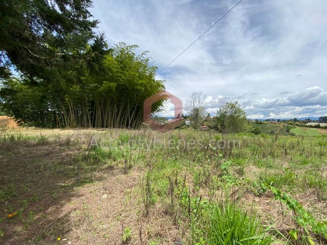 Lote en venta en La Industrial, Marinilla, 6000 m² · foto 13 de 22