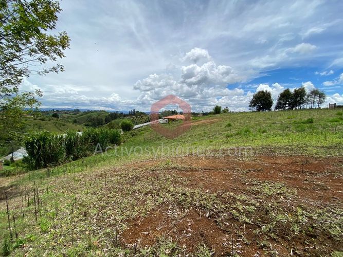 Lote en venta en La Industrial, Marinilla, 6000 m² · foto 14 de 22