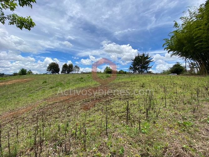 Lote en venta en La Industrial, Marinilla, 6000 m² · foto 15 de 22