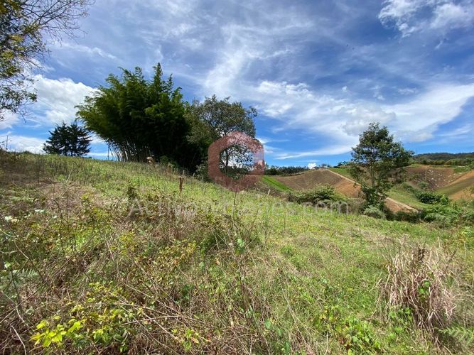 Lote en venta en La Industrial, Marinilla, 6000 m² · foto 18 de 22