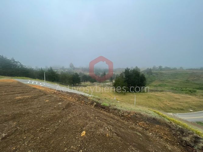 Lote en venta en Quirama, El Carmen de Viboral, 2949 m² · foto 4 de 14