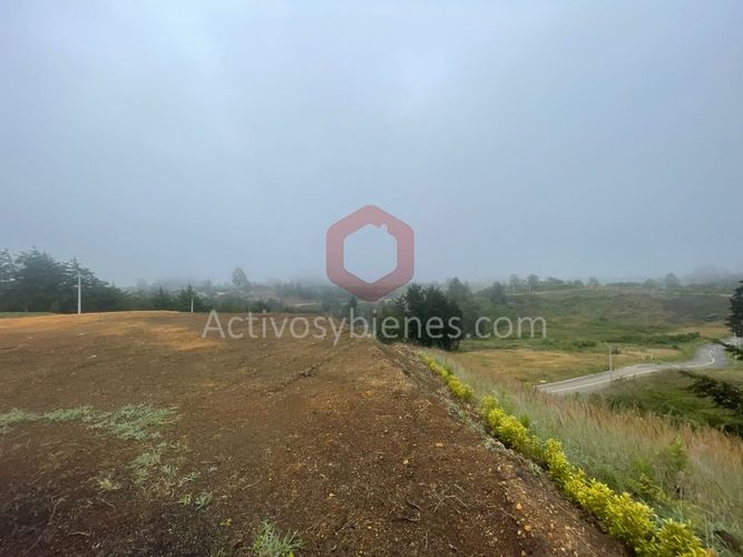 Lote en venta en Quirama, El Carmen de Viboral, 2949 m² · foto 6 de 14