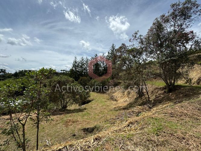 Lote en venta en Rionegro, 5680 m² · foto 6 de 10