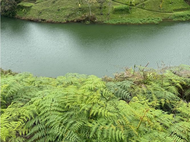Finca en venta en Entreamigos, Sabaneta, 8800 m² · foto 7 de 24