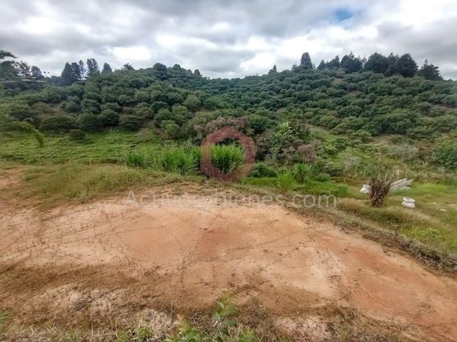 Lote en venta en Guarne, 1727 m² · foto 3 de 11