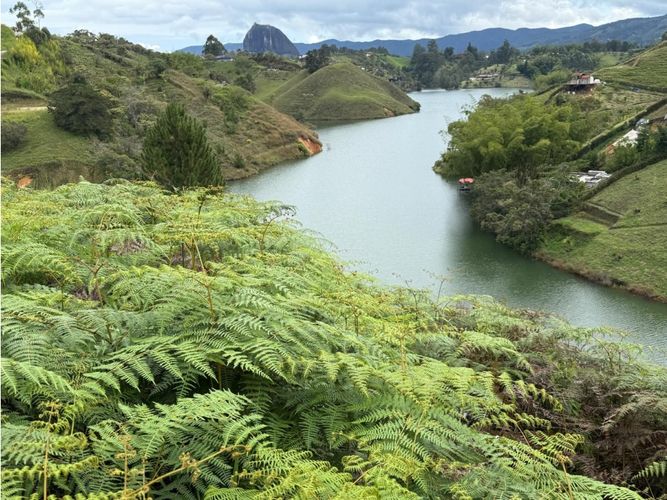 Finca en venta en Entreamigos, Sabaneta, 8800 m² · foto 23 de 24