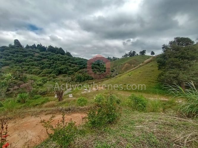 Lote en venta en Guarne, 1727 m² · foto 10 de 11