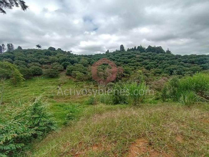 Lote en venta en Guarne, 1727 m² · foto 11 de 11