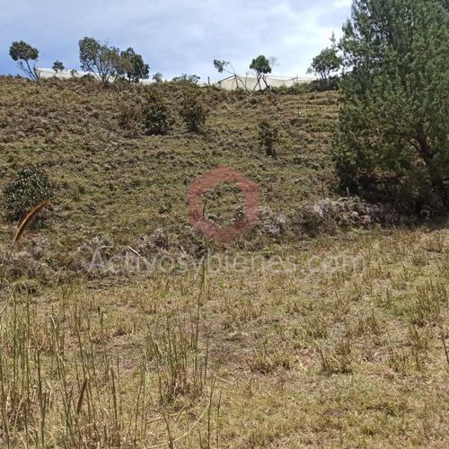 Lote en venta en La Charanga, Guarne, 42000 m² · foto 9 de 12