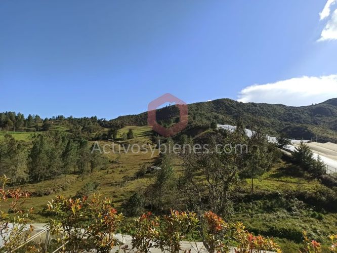 Lote en venta en La Charanga, Guarne, 42000 m² · foto 12 de 12