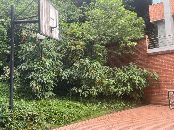 Apartamento en venta en Los Rosales, Bogotá · foto 15 de 19