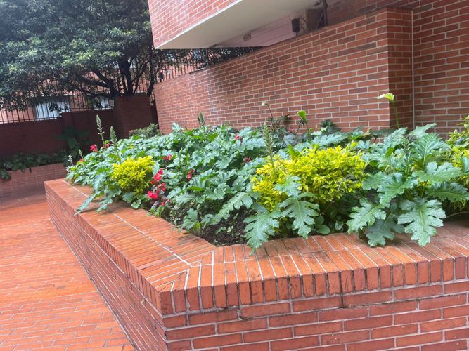 Apartamento en venta en Los Rosales, Bogotá · foto 16 de 19