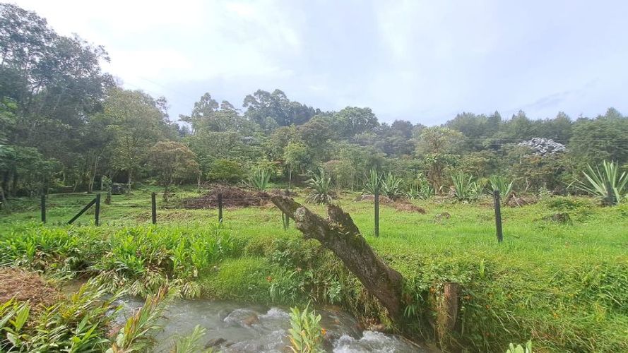 Lote en venta en El Molino, Guarne, 4500 m² · foto 2 de 13