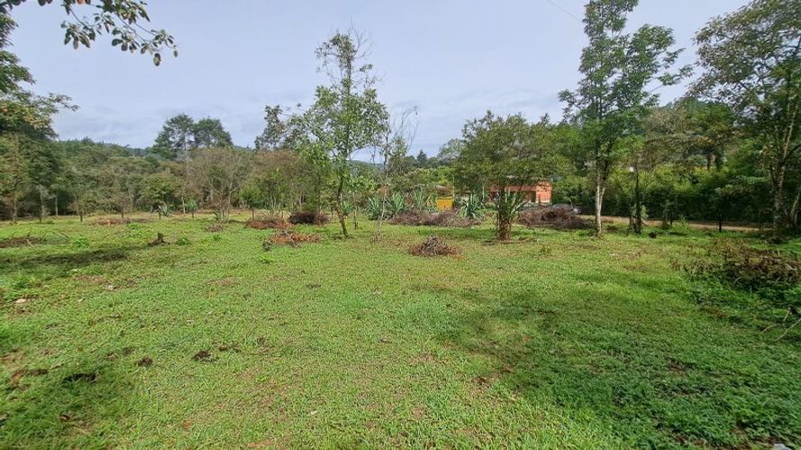 Lote en venta en El Molino, Guarne, 4500 m² · foto 5 de 13