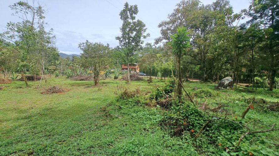 Lote en venta en El Molino, Guarne, 4500 m² · foto 6 de 13