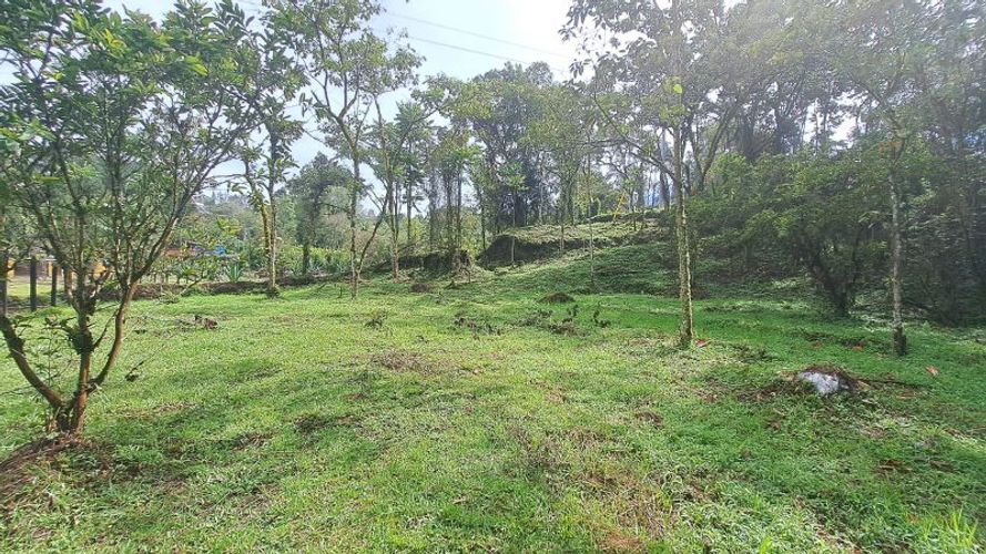 Lote en venta en El Molino, Guarne, 4500 m² · foto 7 de 13