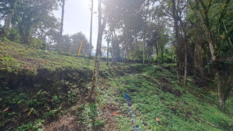 Lote en venta en El Molino, Guarne, 4500 m² · foto 8 de 13