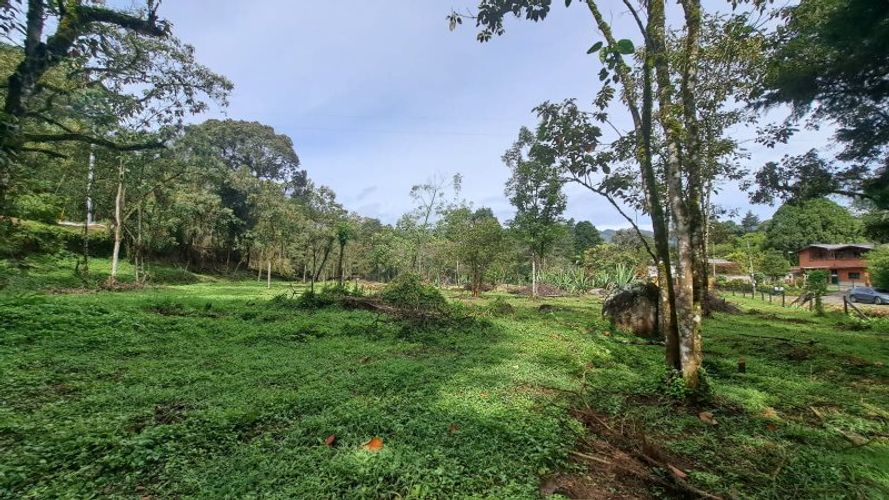 Lote en venta en El Molino, Guarne, 4500 m² · foto 9 de 13