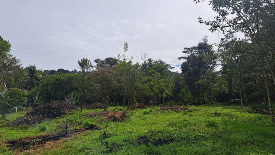 Lote en venta en El Molino, Guarne, 4500 m² · foto 10 de 13