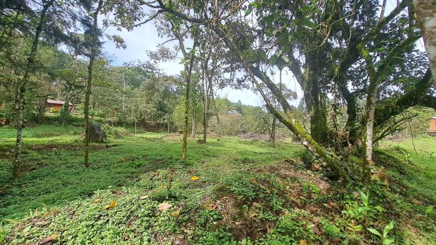 Lote en venta en El Molino, Guarne, 4500 m² · foto 11 de 13