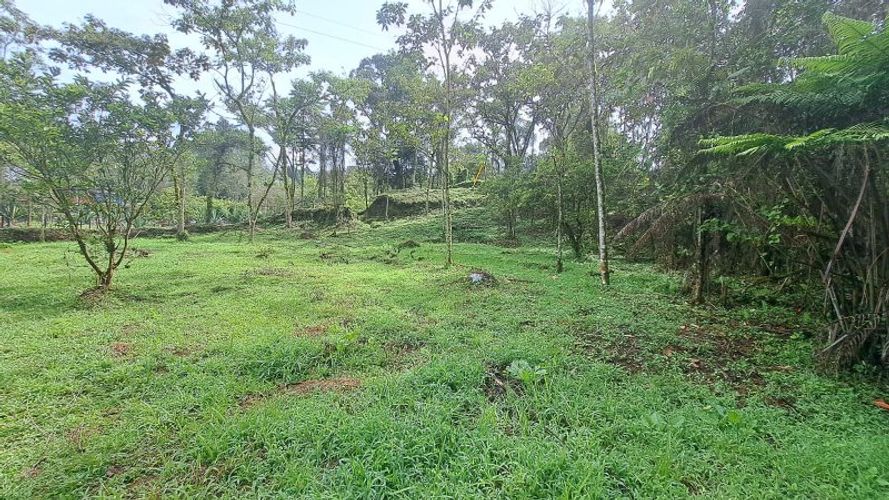 Lote en venta en El Molino, Guarne, 4500 m² · foto 12 de 13