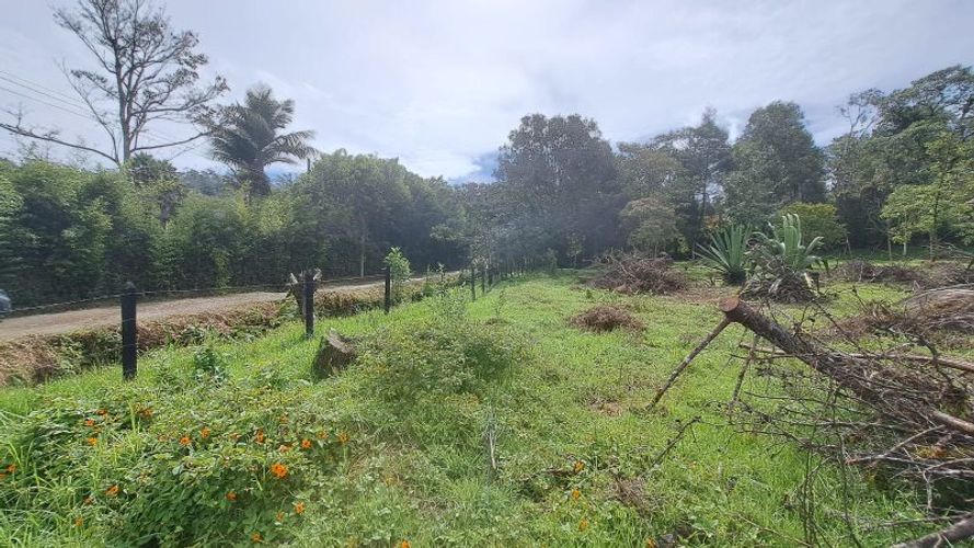 Lote en venta en El Molino, Guarne, 4500 m² · foto 13 de 13