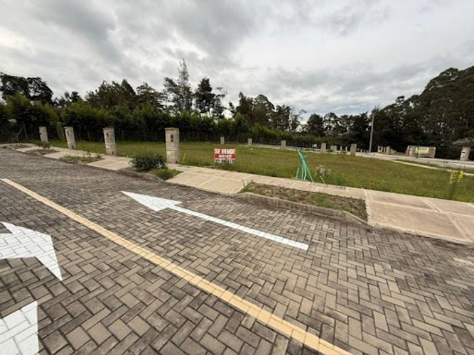 Lote en venta en El Carmen De Viboral, El Carmen de Viboral, 160 m² · foto 11 de 15