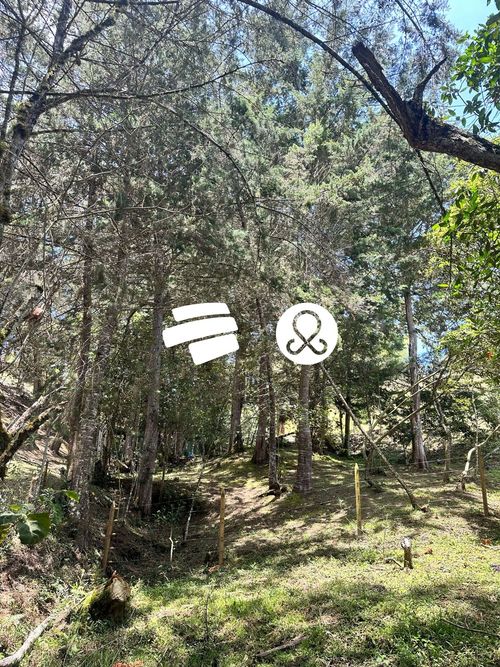 Lote en venta en La Ceja, 2500 m² · foto 8 de 10