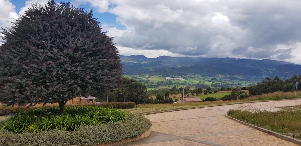 Lote en venta en La Violeta, Sopó, 2193 m² · foto 2 de 13