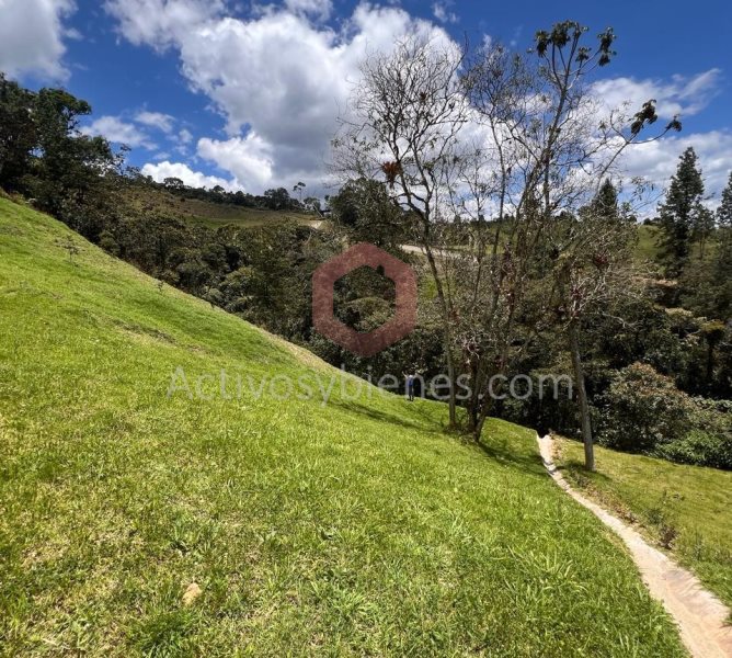 Land in Pantanillo (2670 m²) for Sale