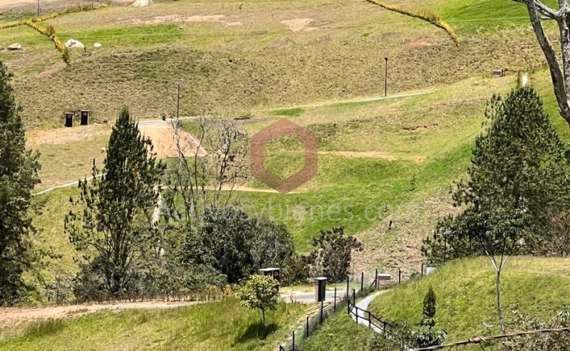 Land in Pantanillo (2670 m²) for Sale - 3