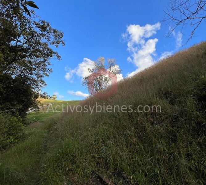Land in Pantanillo (2670 m²) for Sale - 4