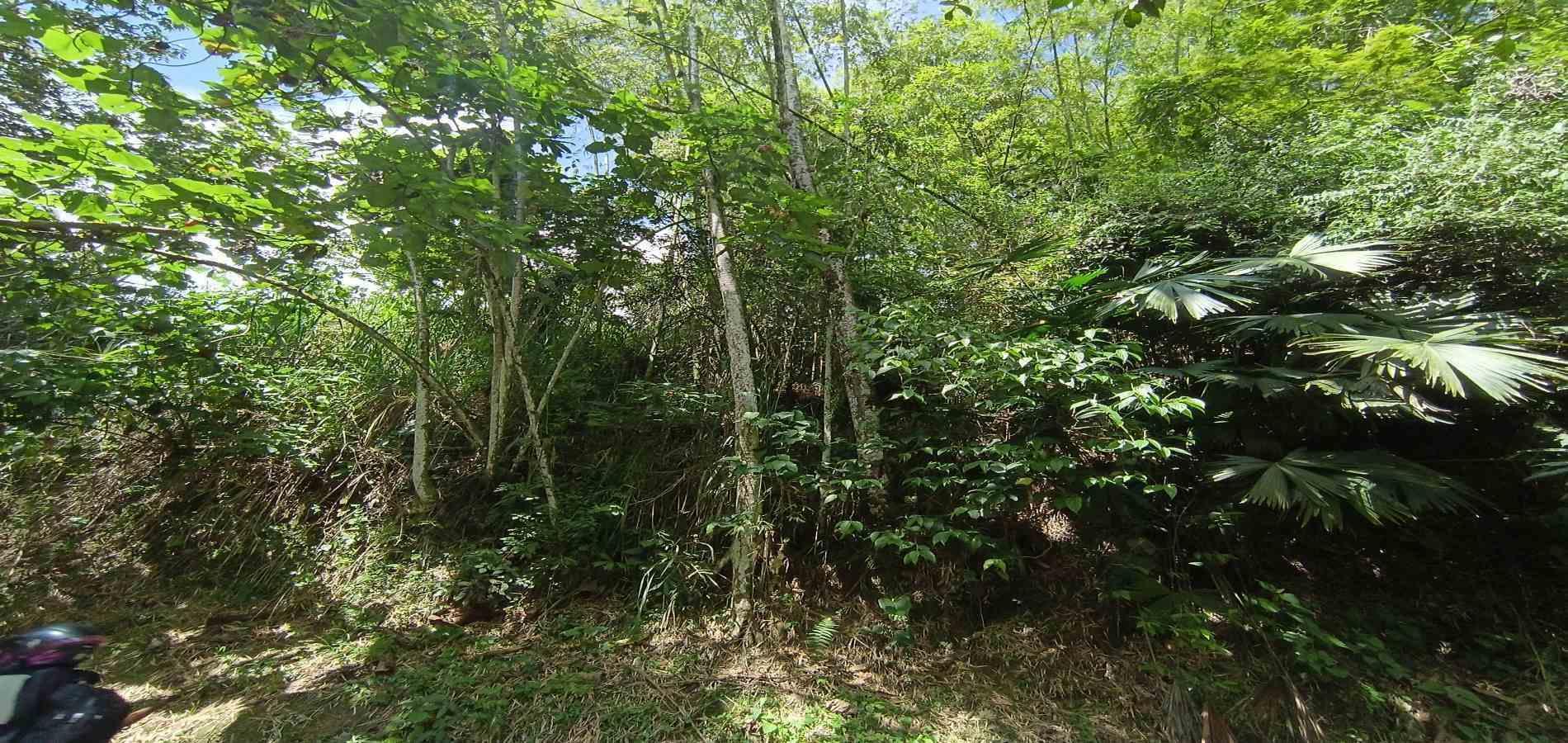 Casa en venta en San Peregrino, Manizales · foto 17 de 24