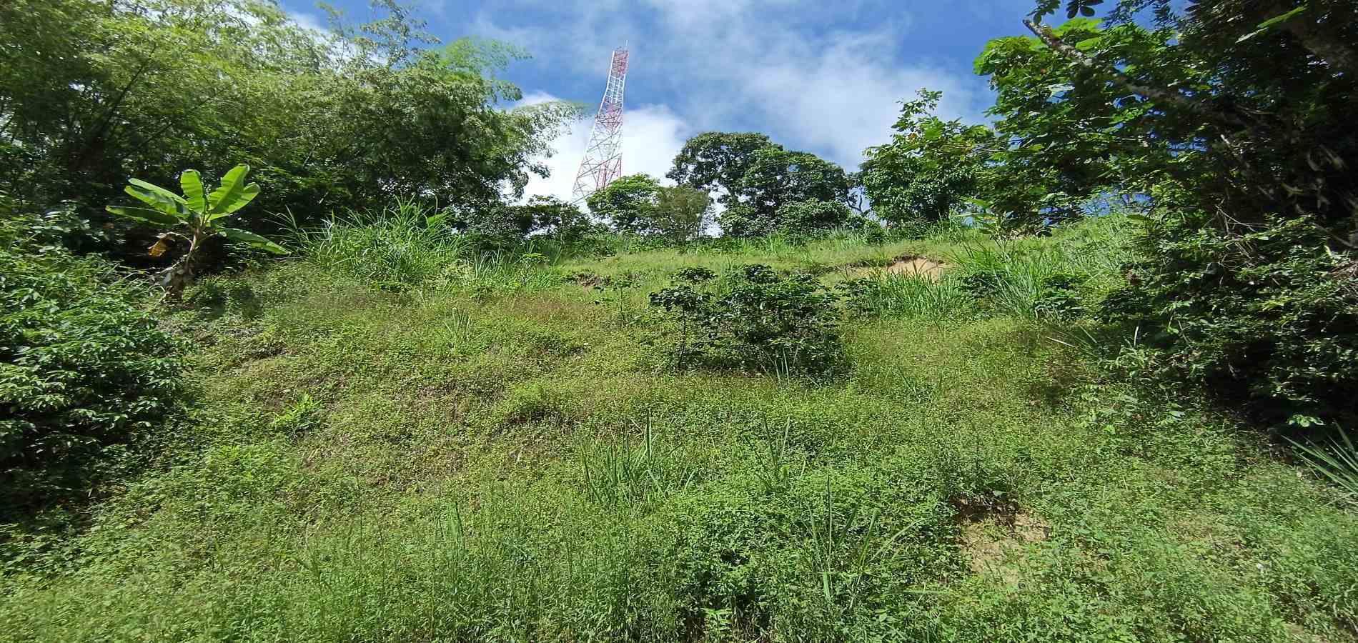 Casa en venta en San Peregrino, Manizales · foto 18 de 24