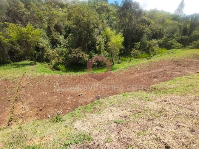 Lote en venta en La Mosquita, Rionegro, 1250 m² · foto 3 de 14