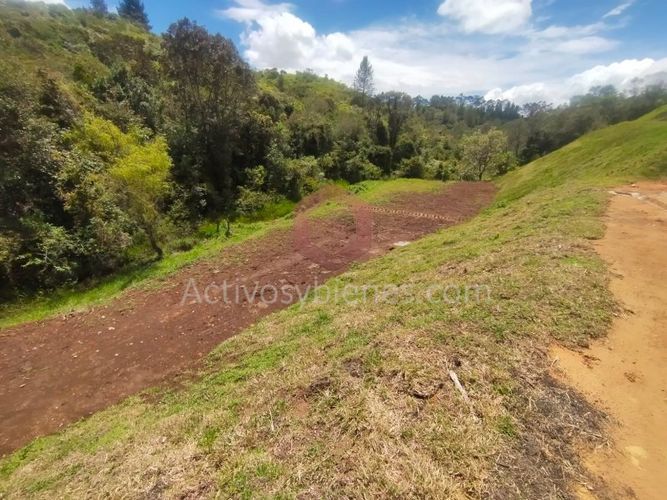 Lote en venta en La Mosquita, Rionegro, 1250 m² · foto 4 de 14