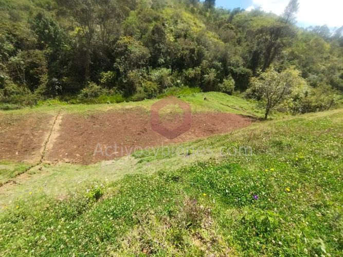 Lote en venta en La Mosquita, Rionegro, 1250 m² · foto 10 de 14