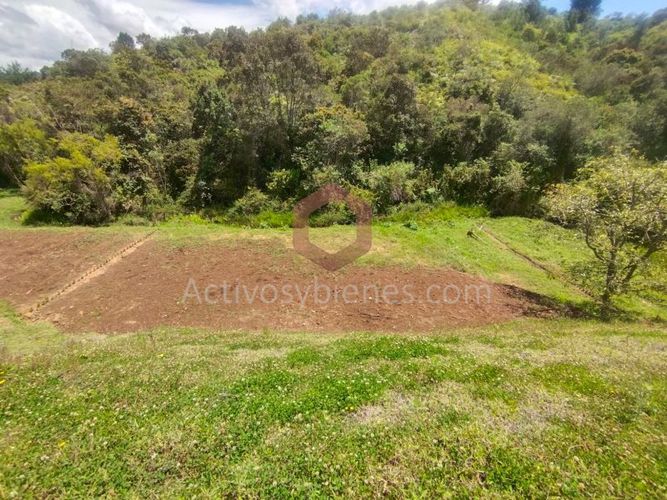 Lote en venta en La Mosquita, Rionegro, 1250 m² · foto 11 de 14