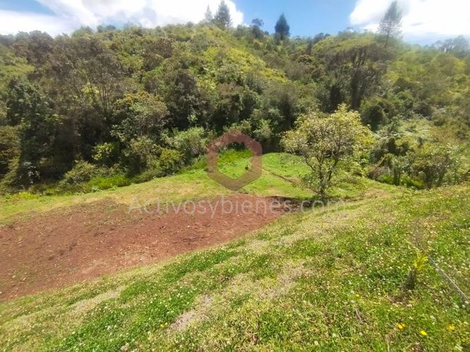 Lote en venta en La Mosquita, Rionegro, 1250 m² · foto 12 de 14