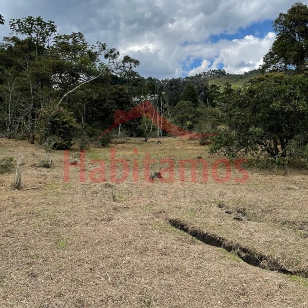 Land in El chuscal for Sale