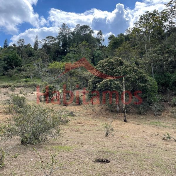 Land in El chuscal for Sale - 3