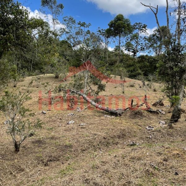 Land in El chuscal for Sale - 4