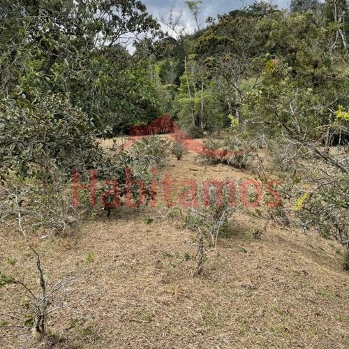 Lote en venta en El Chuscal, El Retiro, 9711 m² · foto 5 de 10